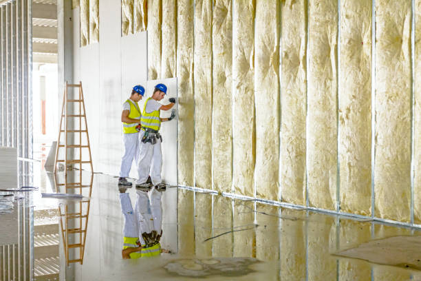 Best Spray Foam Insulation  in Quinebaug, CT